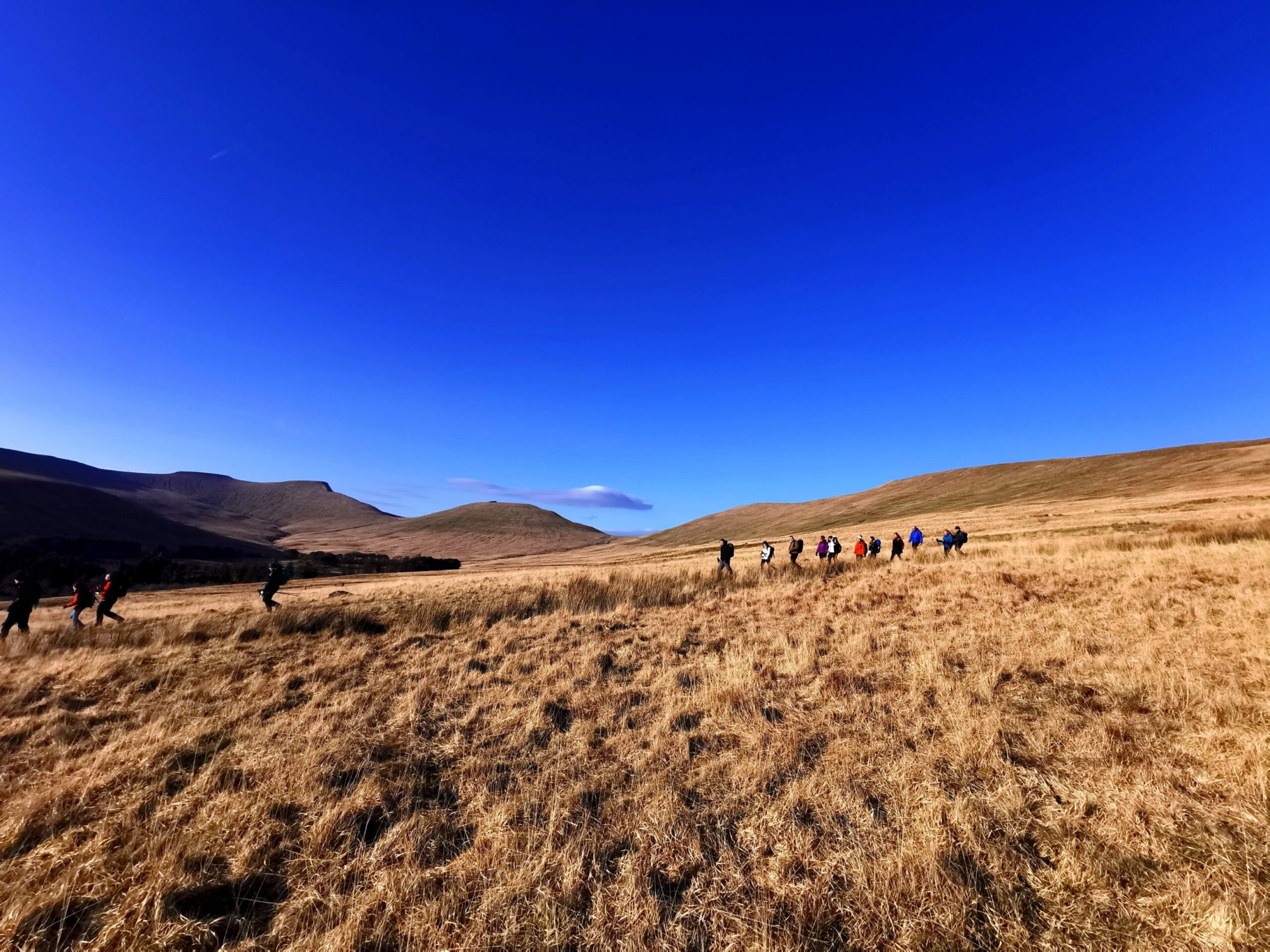 Brecon Beacon Guided Walks Mountain Medicine